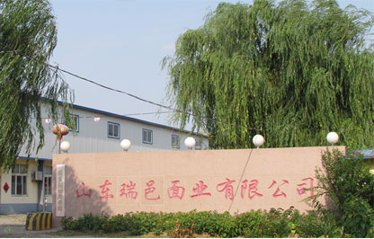 公司簡介